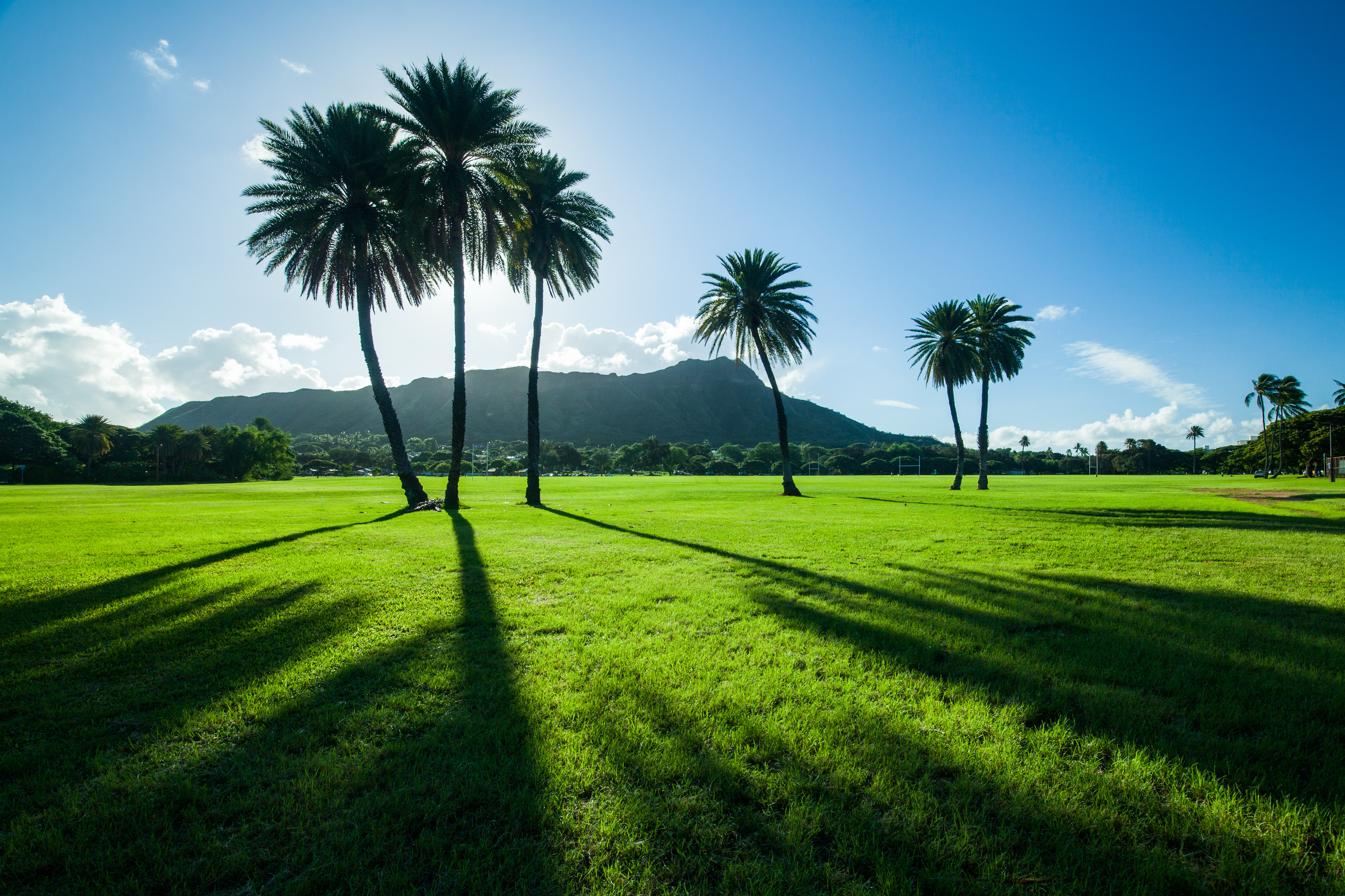 Waikiki