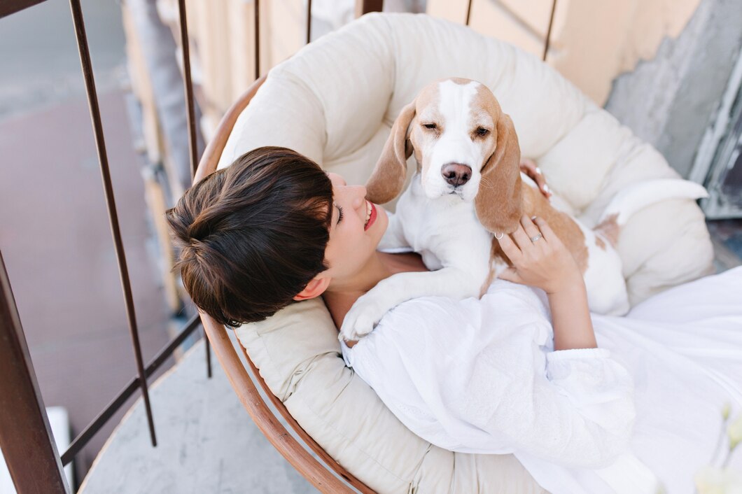 Pet-Friendly Hotel